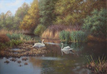Ron Meilof (1953-2016) - Zwanen in een zomerlandschap, Antiek en Kunst
