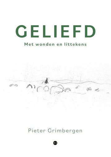 9789465096643 Geliefd | Tweedehands, Verzenden, Zo goed als nieuw, Pieter Grimbergen