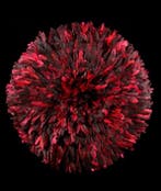 JUJU Hut - Bamileke - Kameroen