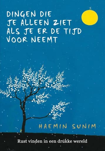 Dingen die je alleen ziet als je er de tijd voor neemt, Verzenden, Zo goed als nieuw, Haemin Sunim