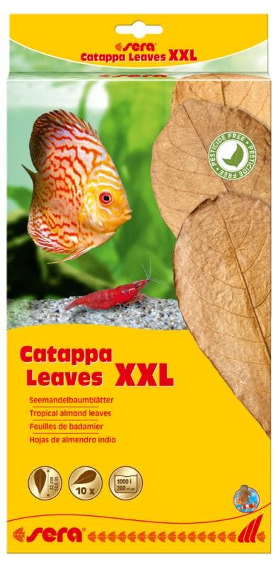 Sera Catappa Leaves XXL 10 stuks (Waterverzorging), Dieren en Toebehoren, Vissen | Aquaria en Toebehoren, Overige typen, Nieuw