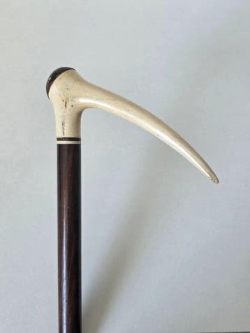 Exclusieve Wandelstok - Hout, Been - Grootte handgreep, Antiek en Kunst