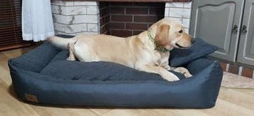 Extra groot hondenbed 120x90 | Nieuw | Scherpe Prijs, Ophalen of Verzenden, Nieuw, Overige