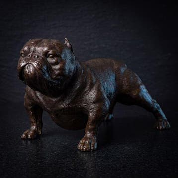 Beeld, Bull Dog 18 cm (Zonder Minimumprijs) - 10 cm - Brons