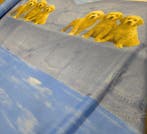 Allegria Tessile: Cuccioli, Jeans e Nuvole in doppia altezza