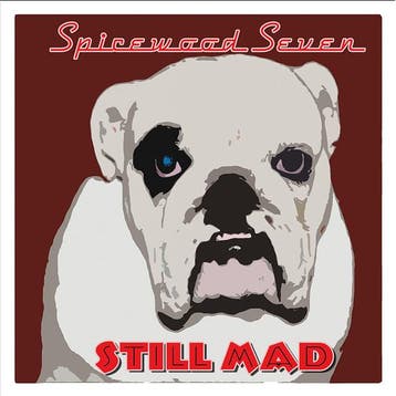cd digi - Spicewood Seven - Still Mad, Verzenden, Zo goed als nieuw