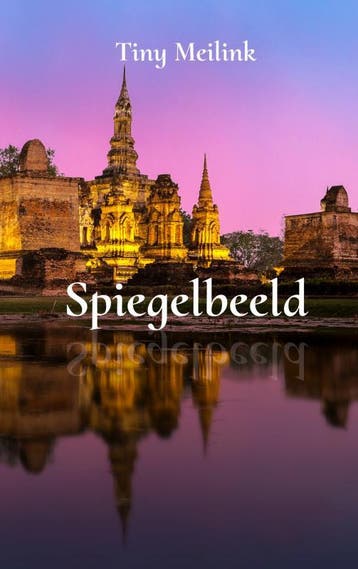 Spiegelbeeld | Tiny Meilink | Nieuw, Ophalen of Verzenden, Nieuw, Tiny Meilink