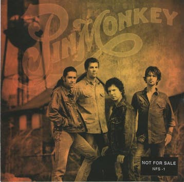 cd - Pinmonkey - Pinmonkey, Verzenden, Zo goed als nieuw
