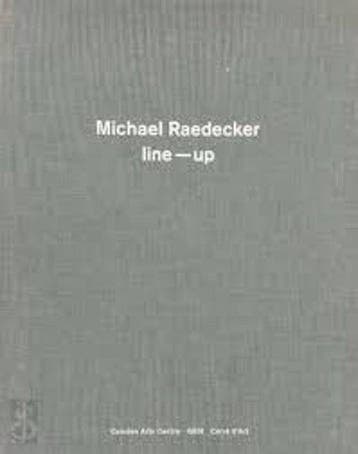 Michael Raedecker - D. Boogerd 9781900470957, Verzenden, Zo goed als nieuw, D. Boogerd