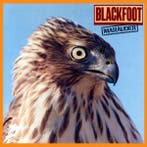 cd - Blackfoot - Marauder, Verzenden, Zo goed als nieuw