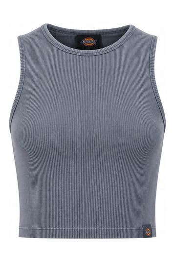 Dickies Top in maat XXS Blauw, Kleding | Dames, Truien en Vesten, Dickies, Verzenden, Zo goed als nieuw, Blauw