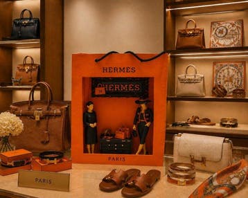 Art Stray-Nos -  Les gardiennes du sac Hermés ...