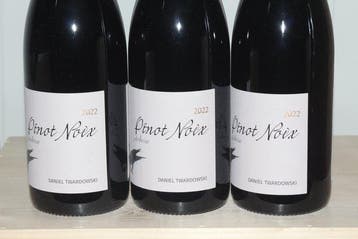 2022 Daniel Twardowski Pinot Noix - Ardoise Spätburgunder, Nieuw