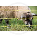 Horizont schapennet horinetz high energy met dubbele punt..., Ophalen of Verzenden