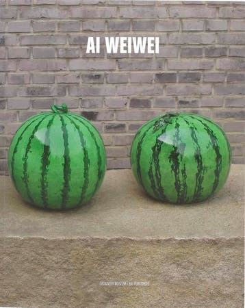 Ai Weiwei - S.A. van der Zijp 9789056622589, Verzenden, Zo goed als nieuw, S.A. van der Zijp