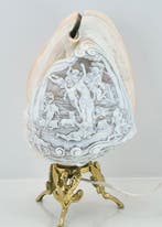 Lamp - Cassis madagascariensis, Antiek en Kunst