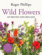 9781529082203 Wild Flowers Roger Phillips, Boeken, Verzenden, Nieuw, Roger Phillips