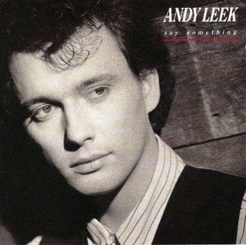 cd - Andy Leek - Say Something, Verzenden, Zo goed als nieuw