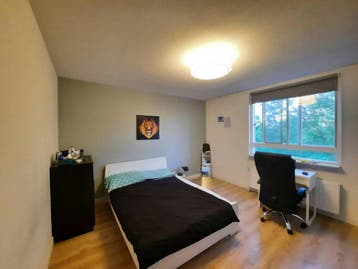 Kamer te huur in Rotterdam - 15 m² - 1 kamer(s), Rotterdam