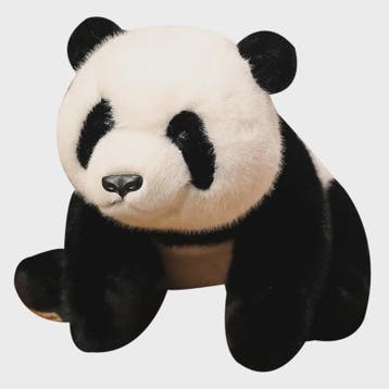 Knuffelbeer Pluche: Bruine Beer, IJsbeer of Panda - 30/45/65