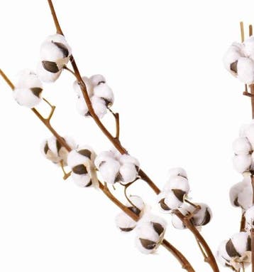 Katoen tak cotton spray premium quality kunstbloem 5 bloemen, Ophalen of Verzenden, Nieuw