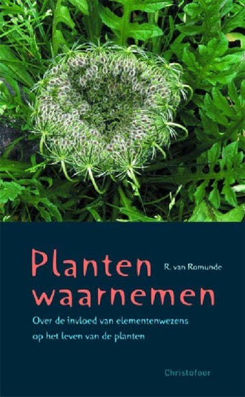 Planten waarnemen - R. van Romunde 9789060386026, Verzenden, Gelezen, R. van Romunde