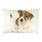 canvas kussen pup jack russel 35x50cm, Verzenden, Nieuw