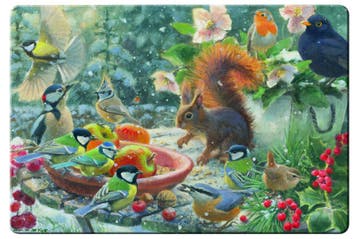 Placemat: A Robin’s Winter, Elwin van der Kolk,, Ophalen of Verzenden, Nieuw