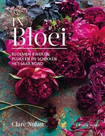 In bloei - Clare Nolan 9789462502741, Verzenden, Zo goed als nieuw, Clare Nolan