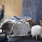 vidaXL Vloerkleed 180x220 cm echte koeienhuid bruin en wit, Verzenden, Nieuw, Bruin