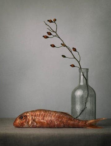 Tessa Posthuma de Boer - Fish #3, Antiek en Kunst