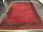 Buchara - Tapijt - 350 cm - 250 cm, Huis en Inrichting, Stoffering | Tapijten en Kleden, Nieuw