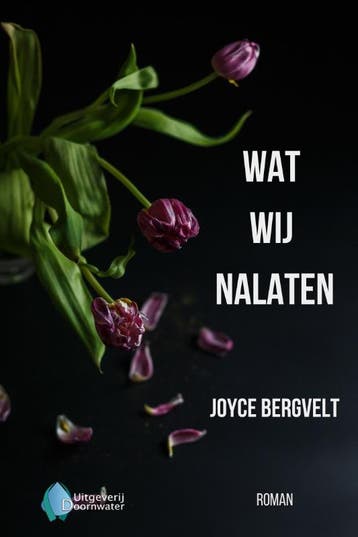 Wat wij nalaten - Joyce Bergvelt 9789083449593, Verzenden, Gelezen, Joyce Bergvelt