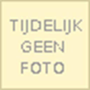 Lokkich Fryslân | 9789036725361 | KNIBBE, Marijn, Boeken, Ophalen of Verzenden, Zo goed als nieuw, KNIBBE, Marijn