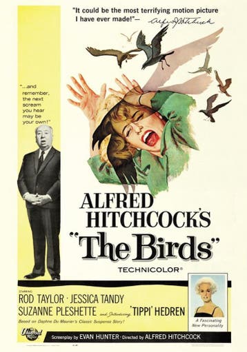 Posters - Poster Alfred Hitchcock - The Birds, Verzenden, Zo goed als nieuw