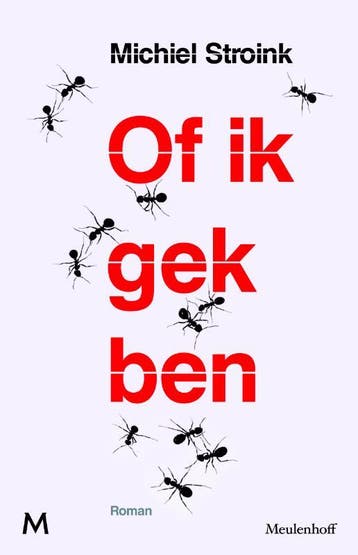 Of ik gek ben - Michiel Stroink 9789029088220, Verzenden, Gelezen, Michiel Stroink