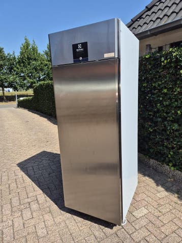 Koelkasten vriezers in veiling horeca, Gebruikt, Koelen en Vriezen