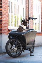Te huur l Urban Arrow elektrische bakfiets met jouw hond, Fietsen en Brommers, Ophalen, Nieuw, Overige merken, Huif