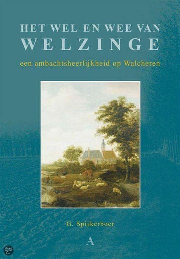 Wel en wee van Welzinge, Het 9789059940673 G. Spijkerboer, Verzenden, Zo goed als nieuw, G. Spijkerboer