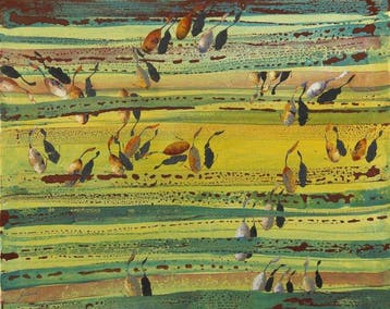 Guido Borelli - salsapariglia