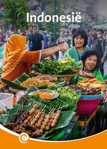 9789464392272 Informatie 209 - Indonesie, Verzenden, Nieuw, Zeger van Mersbergen