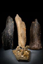 Musteriense vuursteen en bot Werktuig - 29 cm - Drie groten, Verzamelen, Mineralen en Fossielen