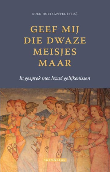 Geef mij die dwaze meisjes maar - Koen Holtzapffel, Boeken, Verzenden, Zo goed als nieuw, Koen Holtzapffel