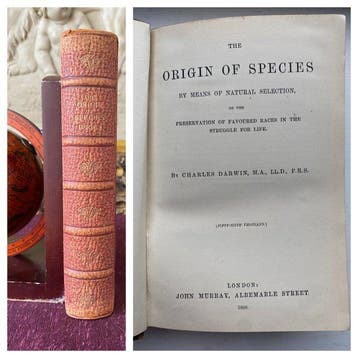 Charles Darwin - The Origins of Species - 1899, Antiek en Kunst