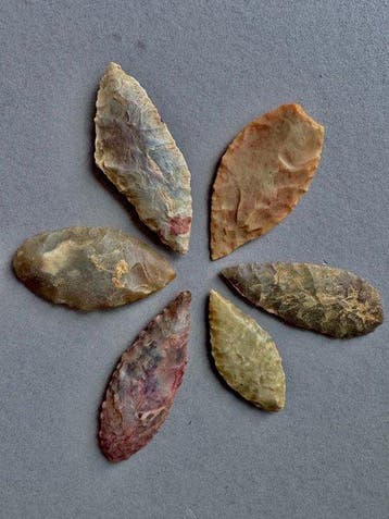 Sahara Silex Pijlpunt (Zonder minimumprijs)