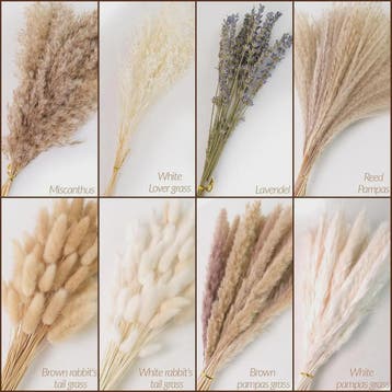 105 Delige Boho Stijl Pampasgras & Gedroogde Bloemen Decorat, Huis en Inrichting, Verzenden, Nieuw