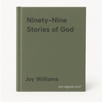 Ninety-Nine Stories of God - Joy Williams 9781781258804, Verzenden, Zo goed als nieuw, Joy Williams