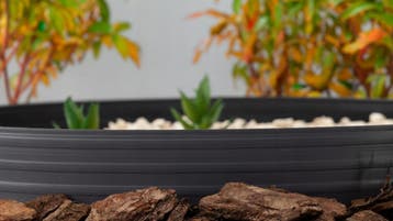 Tuinrand Zwart 10m incl. pinnen | 67% Korting, Tuin en Terras, Bielzen en Borders, Kunststof, Ophalen of Verzenden, Minder dan 25 cm