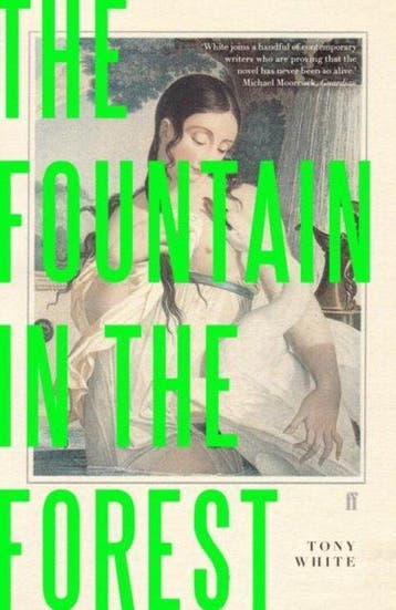 The Fountain in the Forest - Tony White 9780571336180, Verzenden, Zo goed als nieuw, Tony White