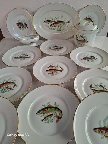richard ginori - Tafelservies (14) - Porselein - Visservies